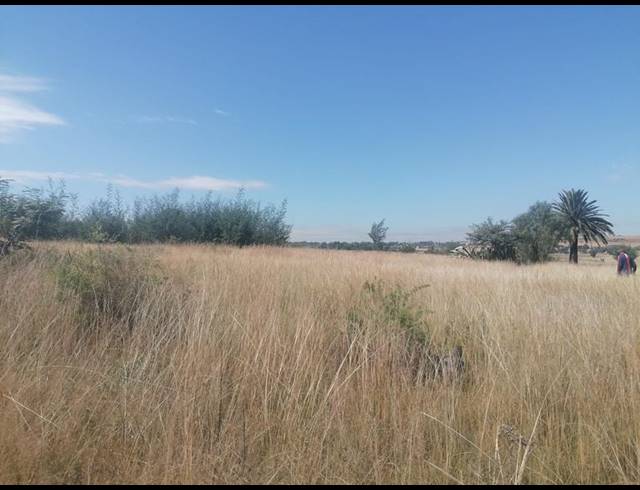 LAND FOR SALE IN WALKERVILLE CENTRAL